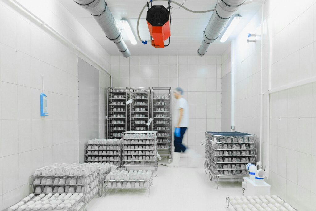 Cold Chain Logistics